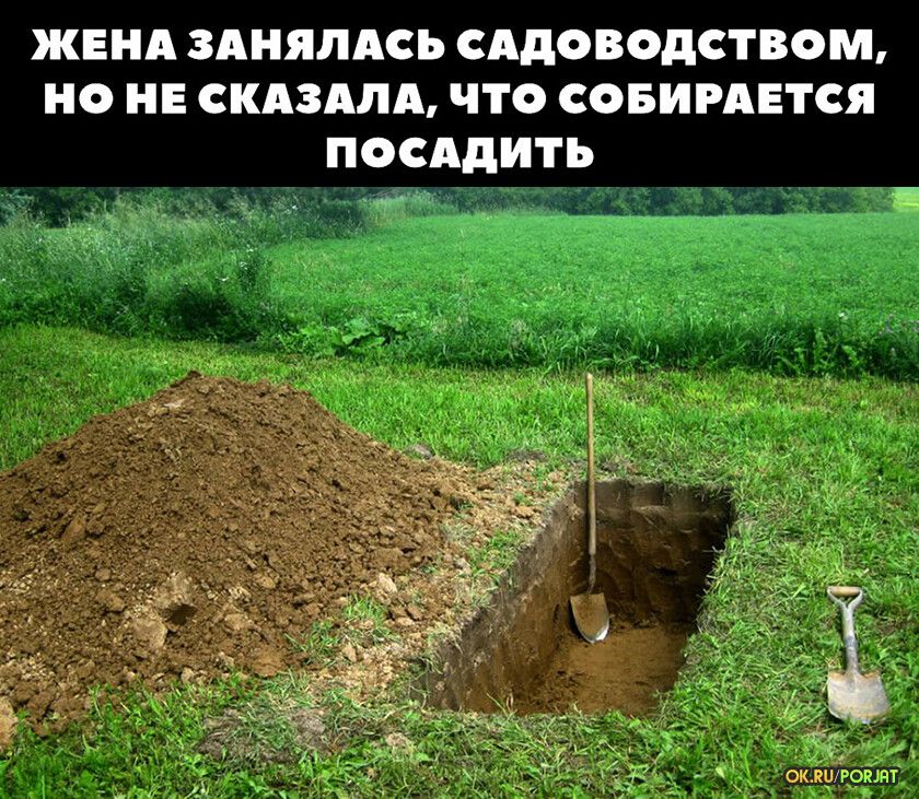 ЖЕНА ЗАНЯЛАСЬ САДОВОДСТВОМ Н НЕ СКАЗАЛА что СОБИРАЕТСЯ ПОСАДИТЬ
