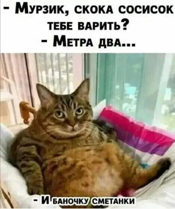 Мурзик скокд сосисок ТЕБЕ ВАРИТЪ МЕТРА двд И БАИОЧКУ СМПАНКИ