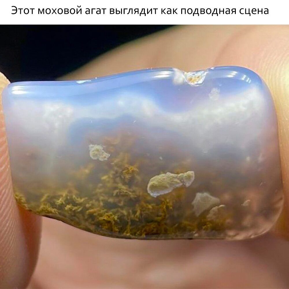 Этот моховой агат выглядит как подводная сцена