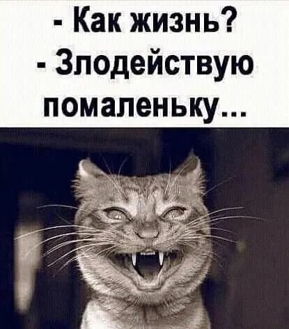 Как жизнь Злодействую помаленьку