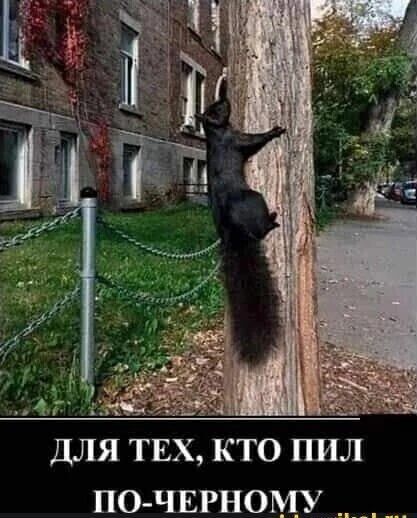 ДЛЯ ТЕХ КТО ППЛ ПО ЧЕРНОМУ