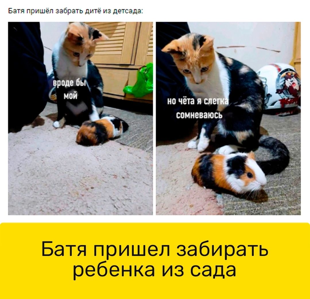 Батя пришел забирать ребенка из сада