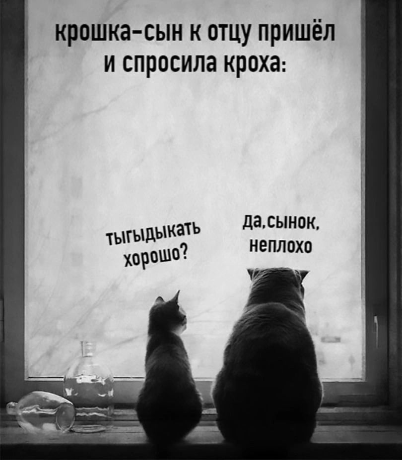 крошка сын к отцу пришёл и спросила кроха даынок НЕПЛПХП тыгыдыка