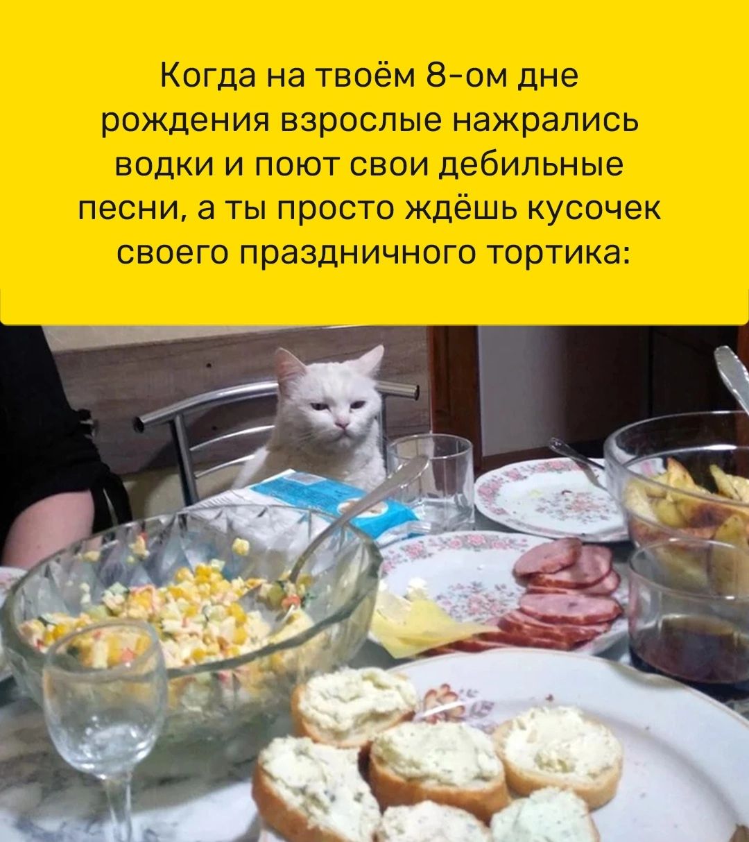 Когда на твоём Вгом дне РОЖДЕНИЯ ВЗРОСПЫЁ нажрались водки И поют свои дебильные ПЕСНИ 3 Ты ПРОСТО ЖдёШЬ КУСОЧЭК своего праздничного тортика