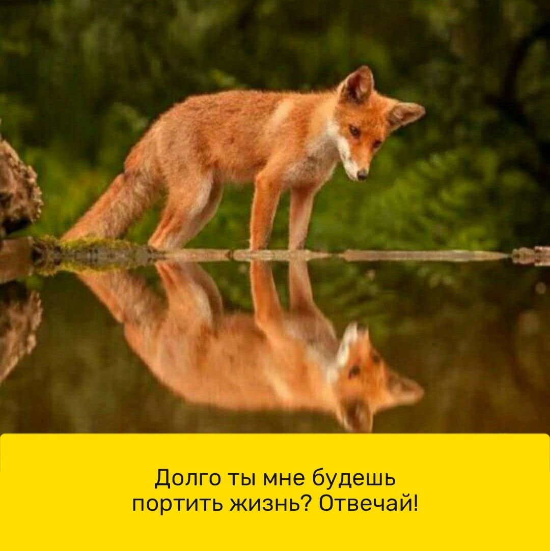 ы мне буд портить жизнь Отвечай