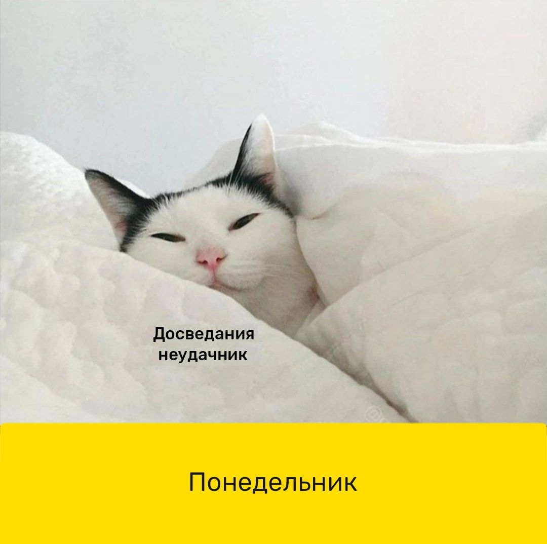 Премии ипулдчиик