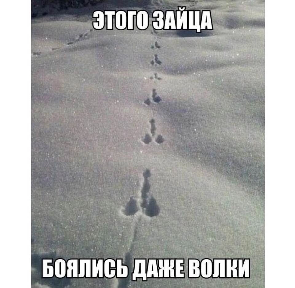 зтпгп здйцд _ БШШИВЬ дМНЕ ВВПНИ