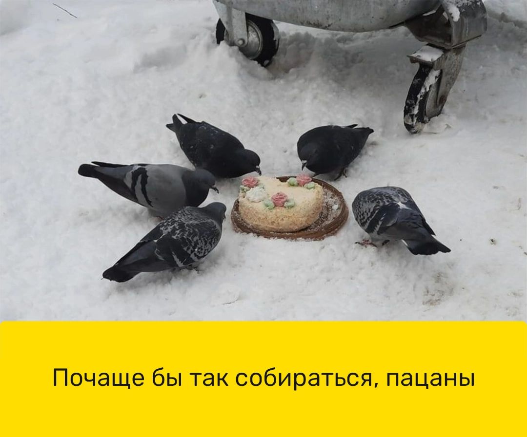 Почаще бы так собираться пацаны