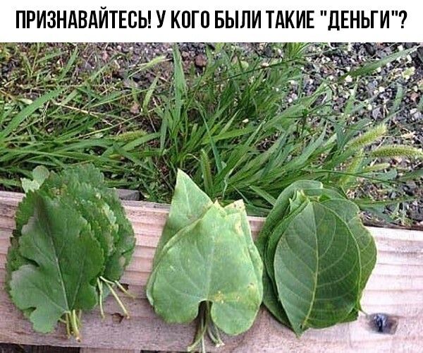 ПРИЗНАВАЙТЕЕЬ У К0ГП БЫЛИ ТАКИЕ ЕНЬГ