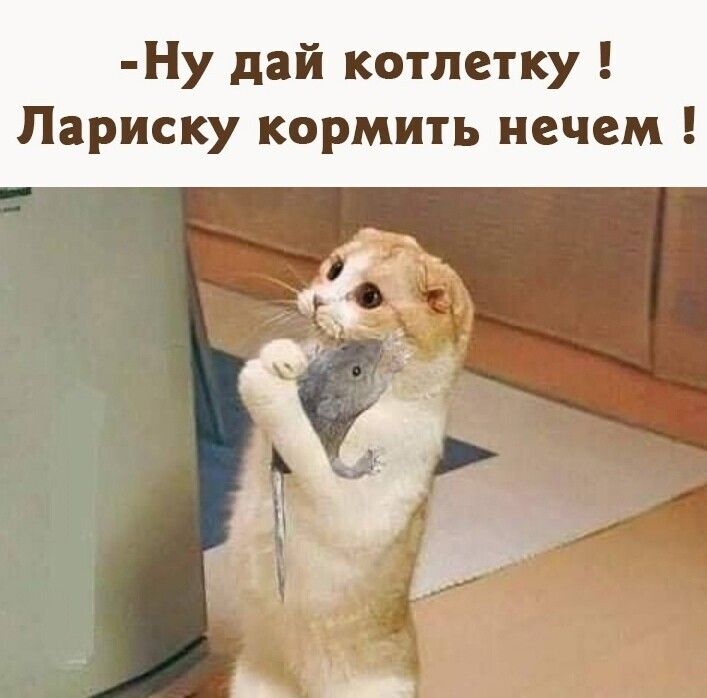 Ну дай котлетку Лариску кормить нечем
