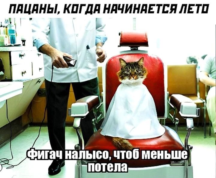 ПдЦдНЫ КПГ ДЛ НЛЧИНЛЕ ТЕЛ ЛЕ ТП