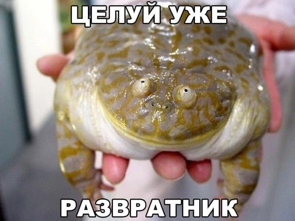 _ АЗВРАТНИК Р