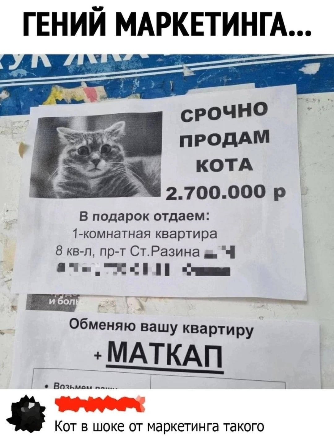 ГЕНИЙ МАРКЕТИНГА И срочно 5 продАМ КОТА 2700000 р 7 В подарок отдаем 1комнатная квартира 8 кв п пр т Ст Разина _ Ч 1 С 4 _ _ Обменяю вашу квартиру МАТКАП в Кот в шоке от маркетинга такого