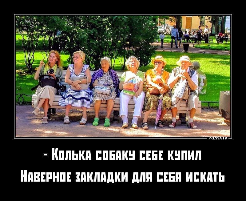 ШШЫШ ШШШ СЕБЕ КЦПИП ПЦПИ МШШШИ ШШ ЦБП ИШШТН
