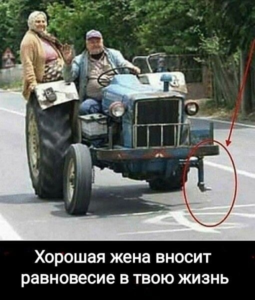 хорошая жена ВНОСИТ равновесие В ТВОЮ ЖИЗНЬ
