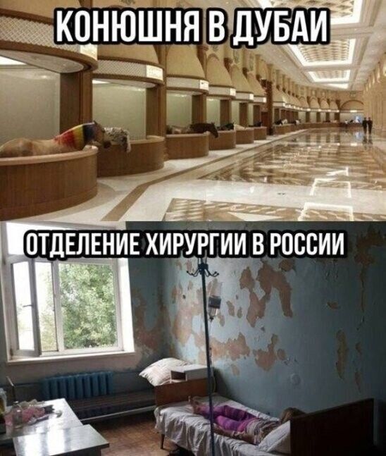 щнюшняйувди д