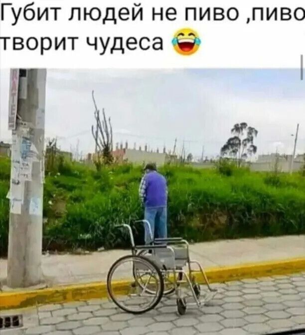 Губит людей не пиво пиво творит чудеса