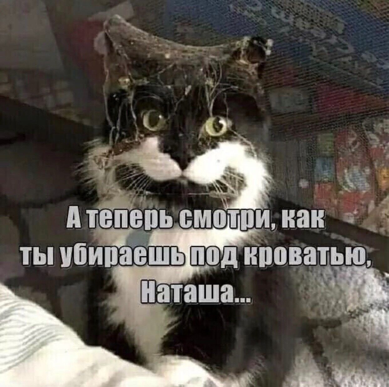 птепеіп смптпи наи 1 ты убиваешь под иппватью наташа