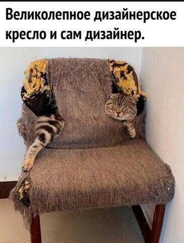 Великолепное дизайнерское кресло и сам дизайнер
