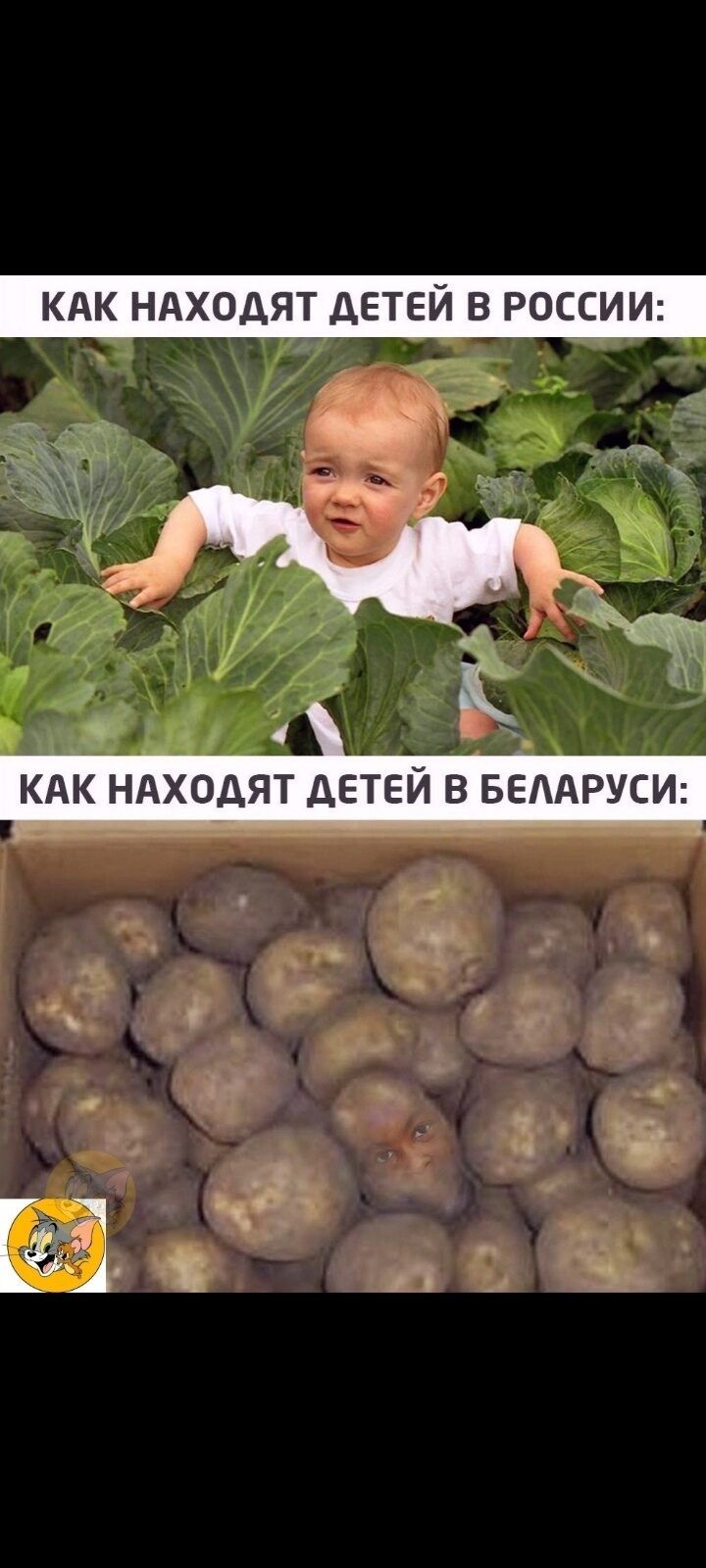 КАК НАХОДЯТ ДЕТЕЙ В РОССИИ