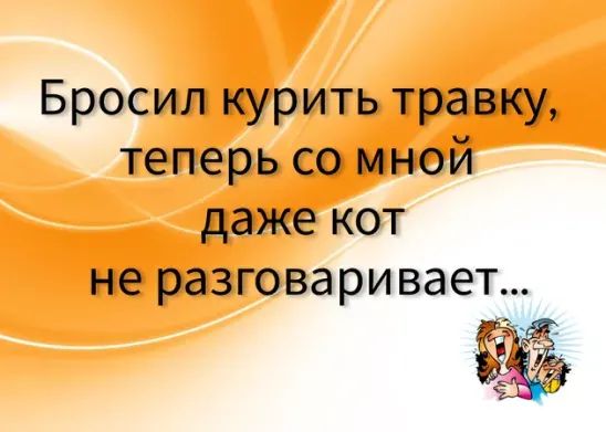 Бросил курить травку теперь со мной даже кот не разговаривает