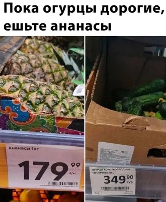 Пока огурцы дорогие ешьте ананасы