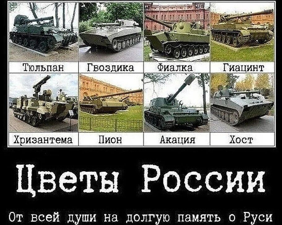 Российские названия. Цветочные названия военной техники России. Цветочные названия оружия России. Название военной тезники в Росси. Российское вооружение с цветочными названиями.