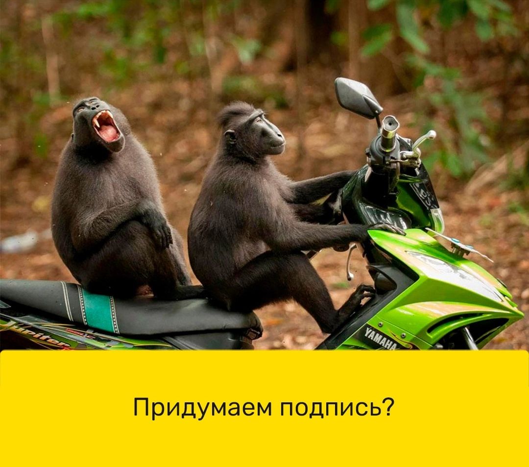 іцпадфгидждм Руътмщф