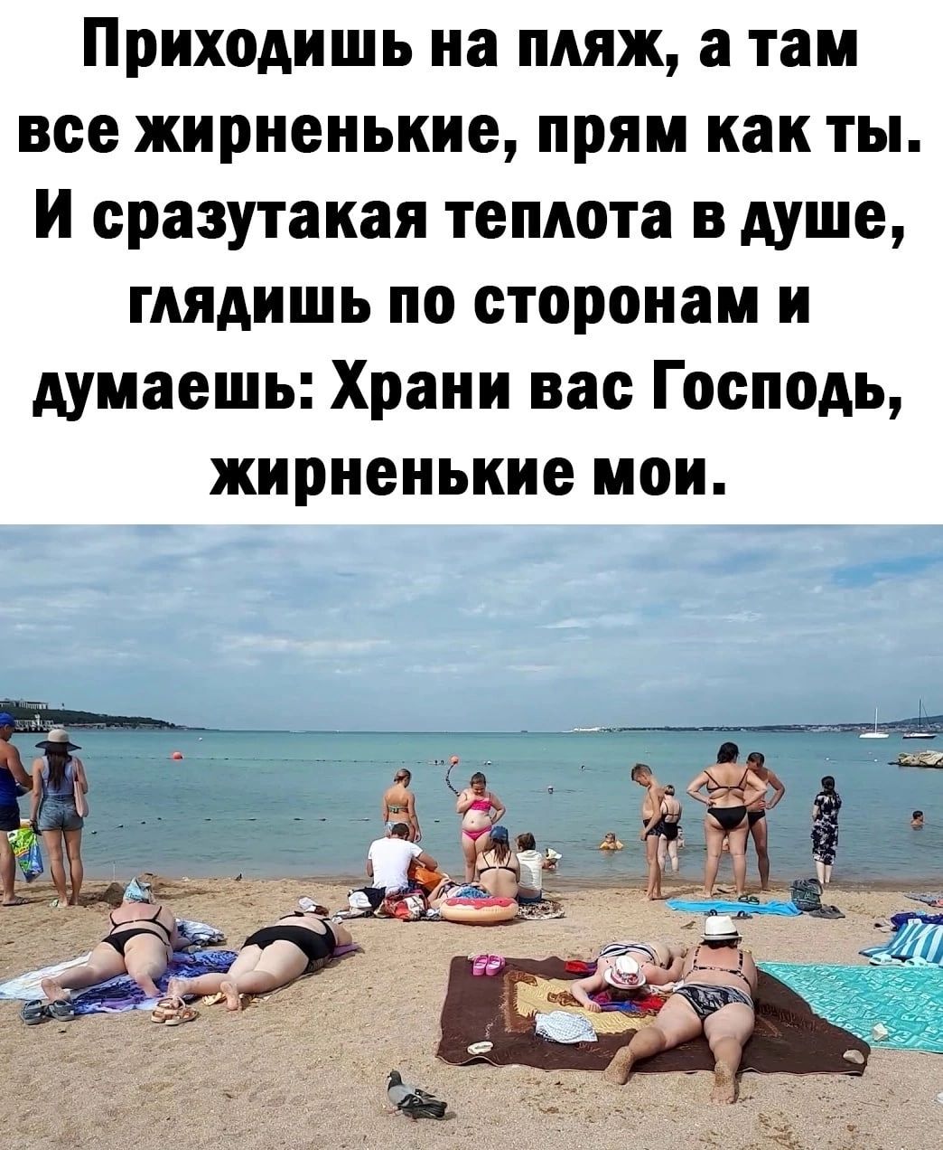 Приходишь на пляж а там все жирненькие прям как ты И сразутакая теплота в душе глядишь по сторонам и думаешь Храни вас Господь жирненькие мои