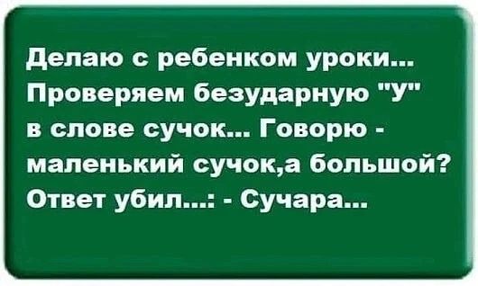 делаю ребенком уроки Проверяем безударную У в слове сучок Говорю маленький сучока большой Ответ убил Сучара