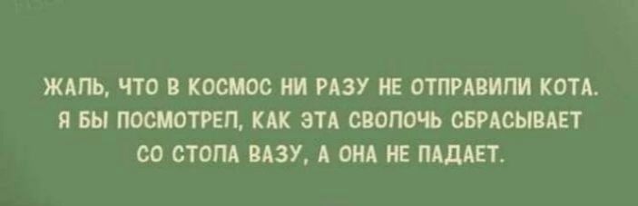 ЖАУЪ ПО КОШОО РАЗУ Е ОТПРАВИШ КОТА И Вы ПОСМОТРЕП КАК ЭТА СШПМ шАшПАЕТ 00 СТОЛА БАЗУ А ОНА Е и