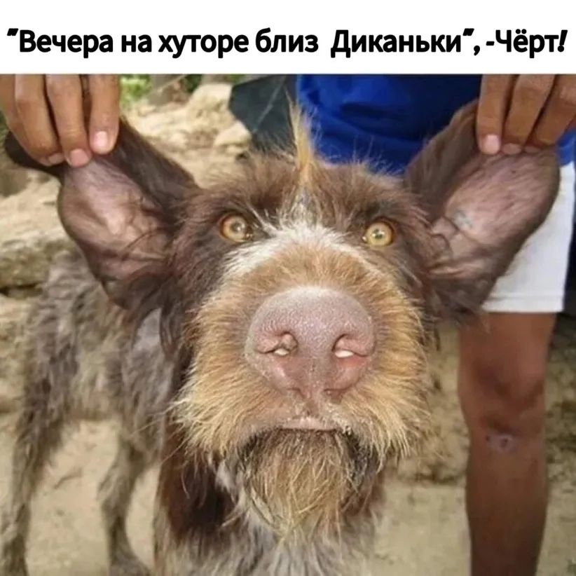 Вечера на хуторе близ диканьки Чёрт ч Ж
