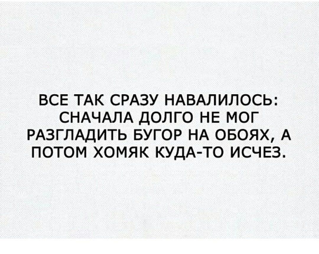 ВСЕ ТАК СРАЗУ НАВАЛИЛОСЬ СНАЧАЛА дОЛГО НЕ МОГ РАЗГЛАдИТЬ БУГОР НА ОБОЯХ А ПОТОМ ХОМЯК КУДА ТО ИСЧЕЗ