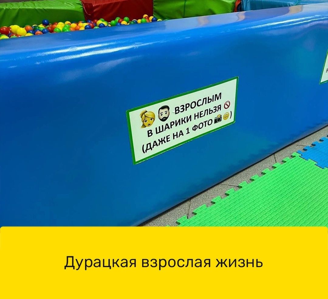дурацкая взрослая жизнь