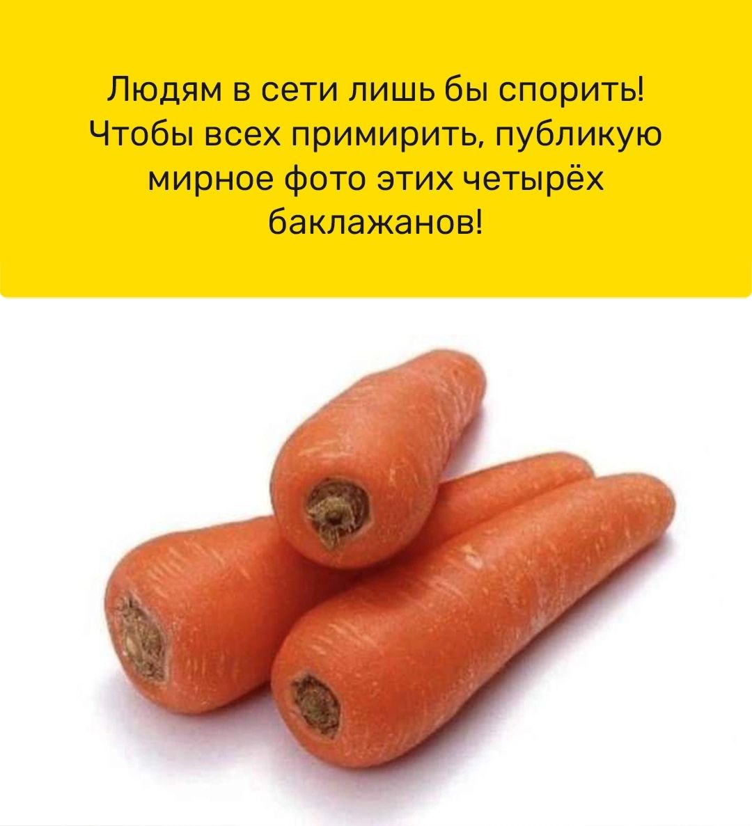 Людям в сети лишь бы спорить Чтобы всех примирить публикую мирное фото этих четырёх баклажанов