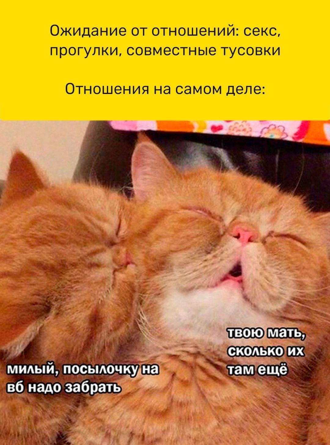 Ожидание от отношений секс прогулки СОЕМЭСТНЫЭ ТУСОВКИ Отношения на самом деле пб надо забрал
