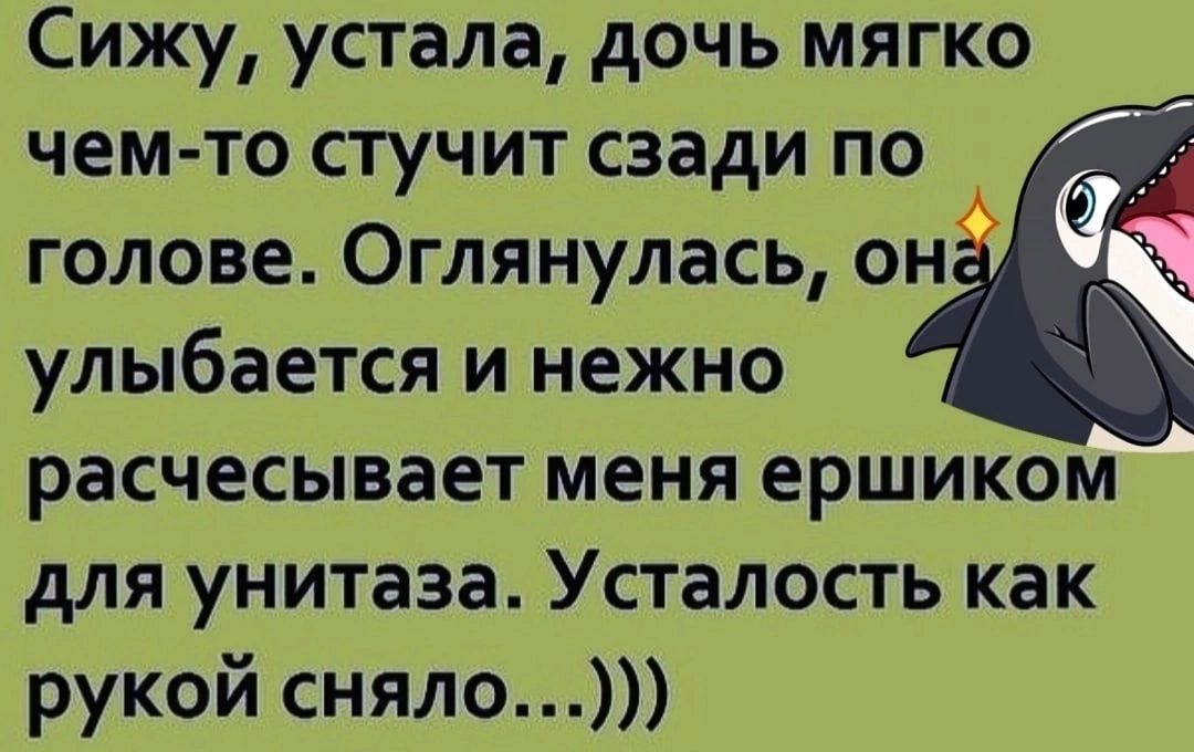 Сижу устала дочь мягко чем то стучит сзади по голове Оглянулась он улыбается и нежно расчесывает меня ершиком для унитаза Усталость как рукой сняло
