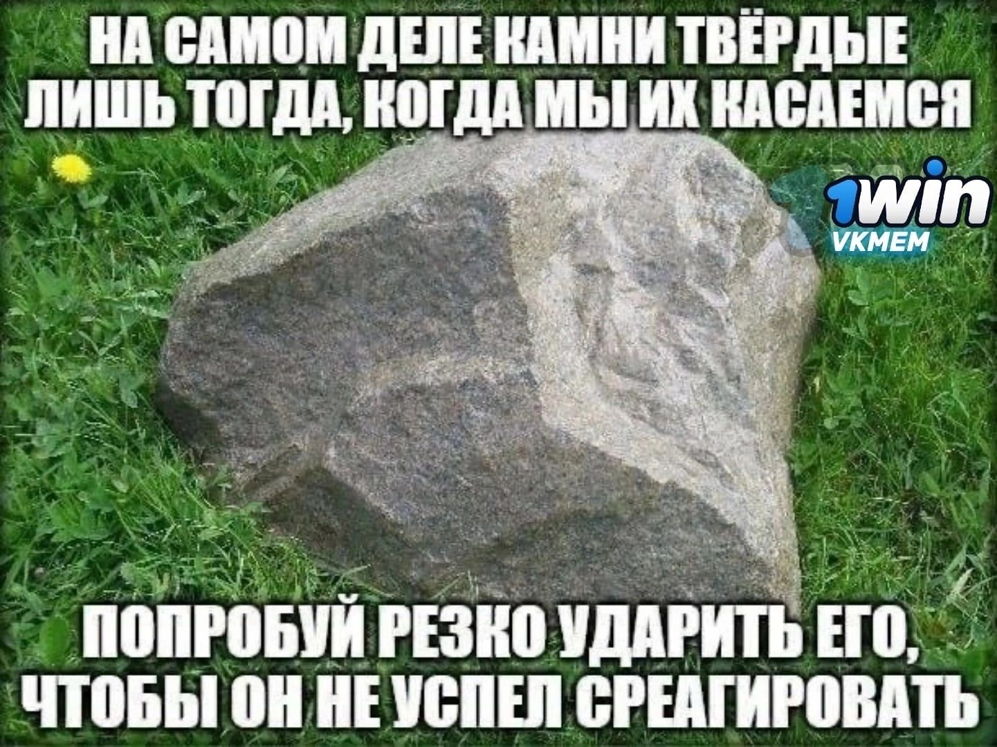 ид вином дШЕ индии ТВЁРдЫЕ _ИЬ _ППдд ЮГдд мы Ид шедшая _ пппгпнйй гпю иддгить тд д чтовы пн Е ивпш приправить
