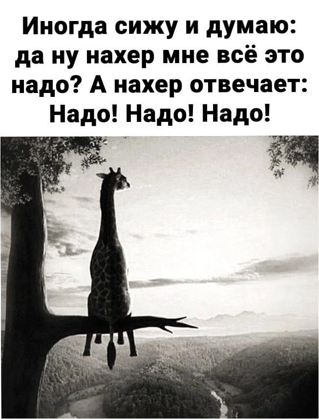 Иногда сижу и думаю да ну нахер мне всё это надо А нахер отвечает Надо Надо Надо