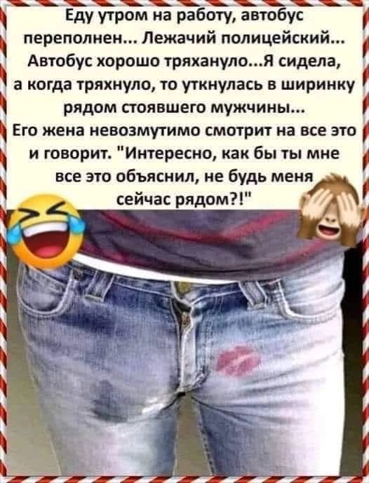 Еду учти на работу автобус переполнен Лежачий полицейский Автобус хорошо тряхаиулоя сидела а когда тряхнула то уткнулась в ширинку рядом стоявшего мужчины Его жена невозмутимо смотрит на все это и говорит Интересно как бы ты мне все это объяснил не будь мени