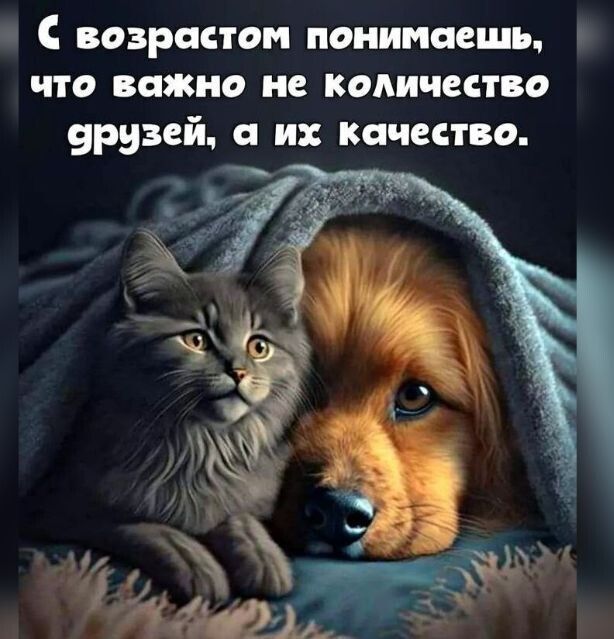 С возрастом понимаешь что важно не кодичество урузей и качество