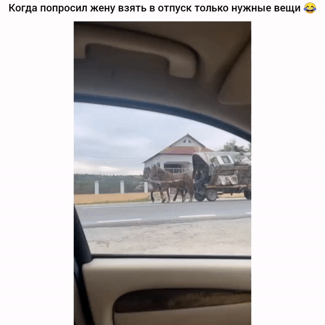 Когда попросил жену взять в отпуск только нужиые вещи