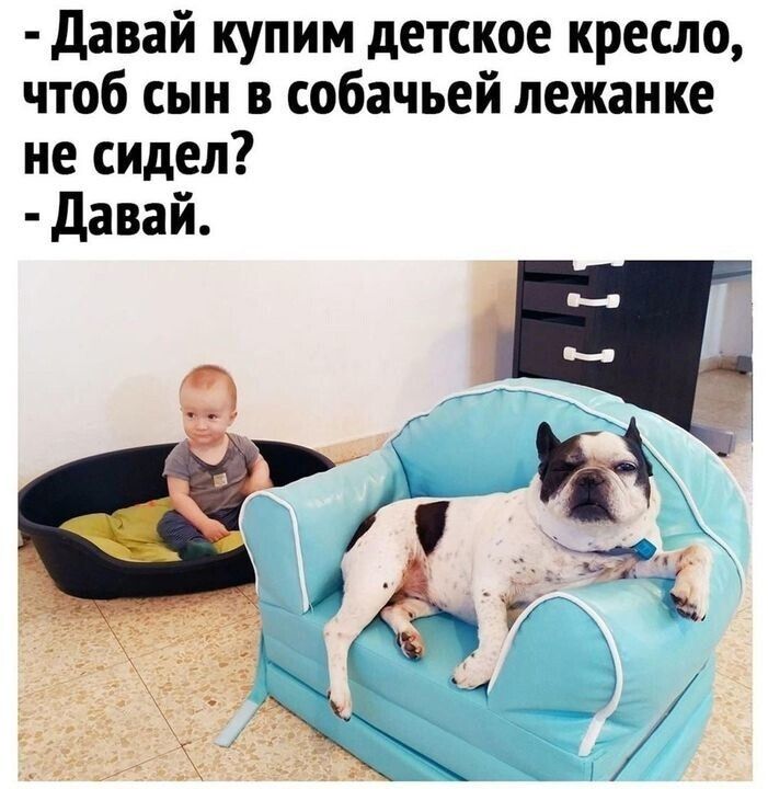 давай купим детское кресло чтоб сын в собачьей лежанке не сидел давай