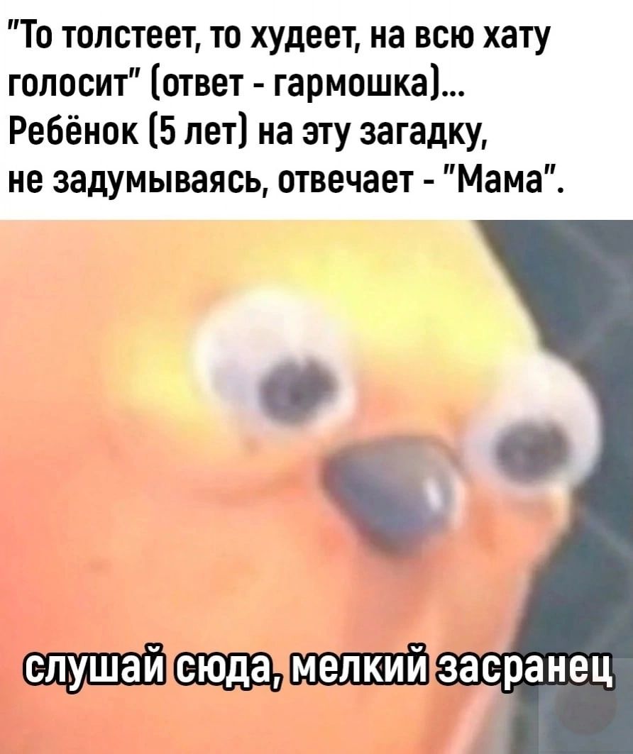 То толстеет то худеет на всю хату гопосит ответ гармошка Ребёнок 5 лет на эту загадку не задумываясь отвечает Мама засранец