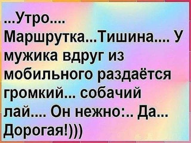 Утро ЁМаршруткаТишина У мужика вдруг из мобильного раздаётся громкий собачий лей Он нежно Да дорогая