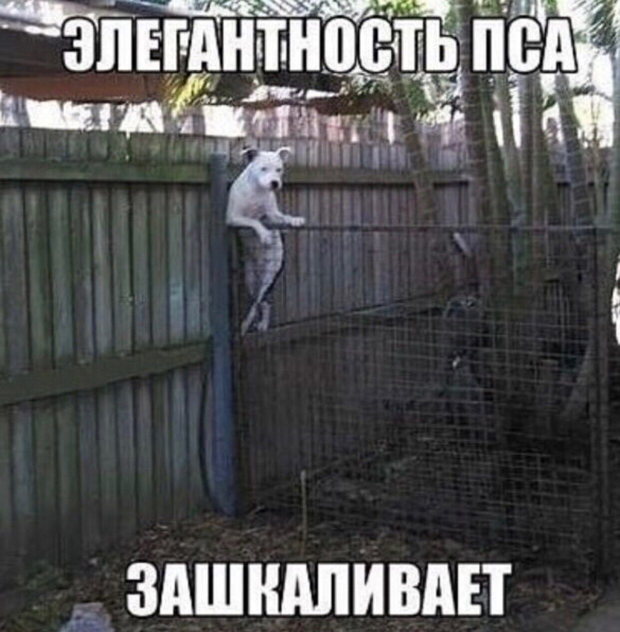 _ ЗАШШШИВПП