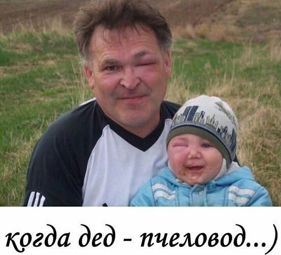 когда дед пчеловод