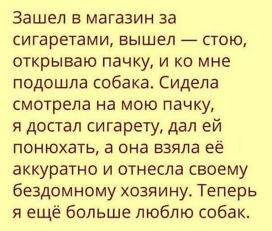 Зашел в магазин за сигаретами вышел стою открываю пачку и ко мне подошла собака Сидела смотрела на мою пачку я достал сигарету дал ей понюхать а она взяла её аккуратно и отнесла своему бездомному хозяину Теперь я ещё больше люблю собак