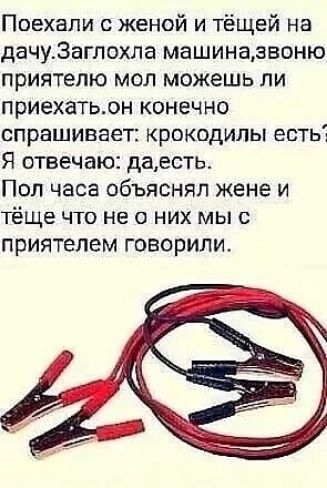 Поехали с женой и тёщей на дачу3аглохла машиназвоню приятелю мол можешь ли приехатьон конечно спрашивает крокодилы есть Я отвечаю даесть Пол часа объяснял жене и тёще что не о них мы с приятелем говорили