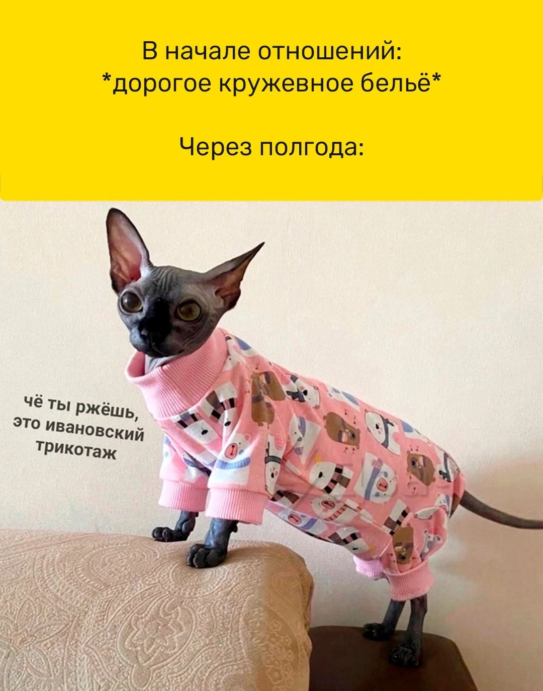 В начале ОТНОШеНИЙ дорогое кружевное бепьё Через полгода че гы Ржёшь ивановский тики